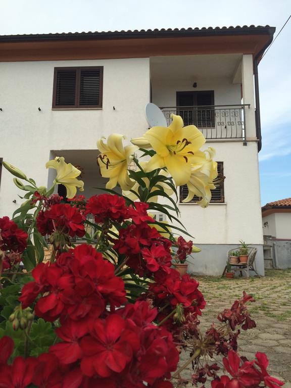 Apartments Bodi Rovigno Esterno foto